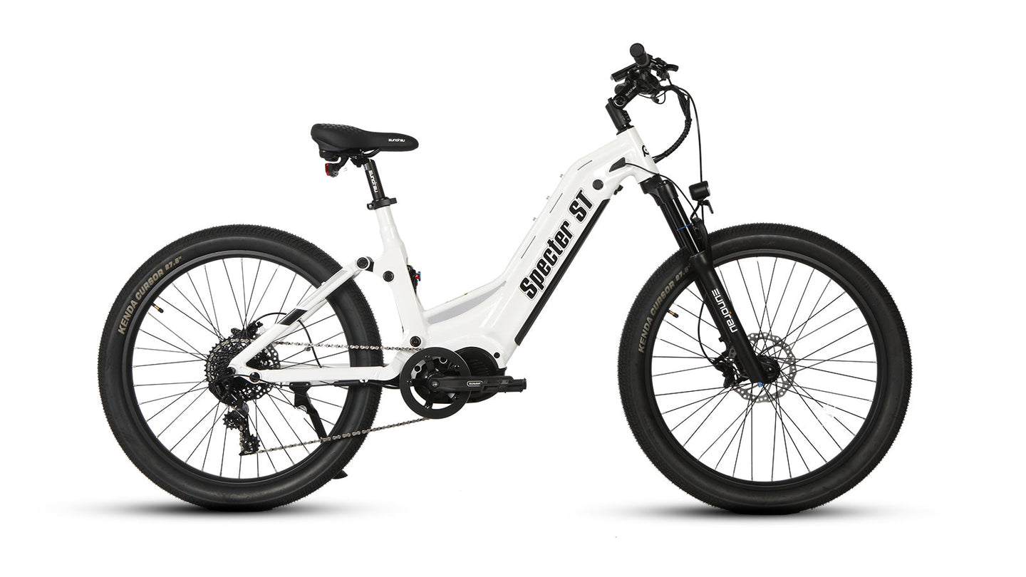 mid drive ebike 1000w
