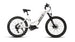 mid drive ebike 1000w