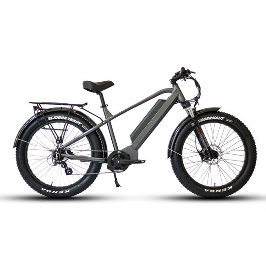 fat tire ebike