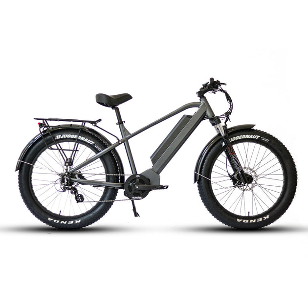 fat tire ebike