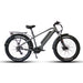 fat tire ebike