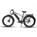 fat tire ebike