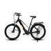 motorized cruiser bike