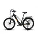 motorized cruiser bike