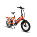 electric cargo bike