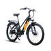 motorized cruiser bike