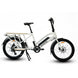 Eunorau-Max-Cargo-White-Electric-Bikes