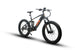 hunting ebike