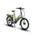 Eunorau-Max-Cargo-Green-Ebikes